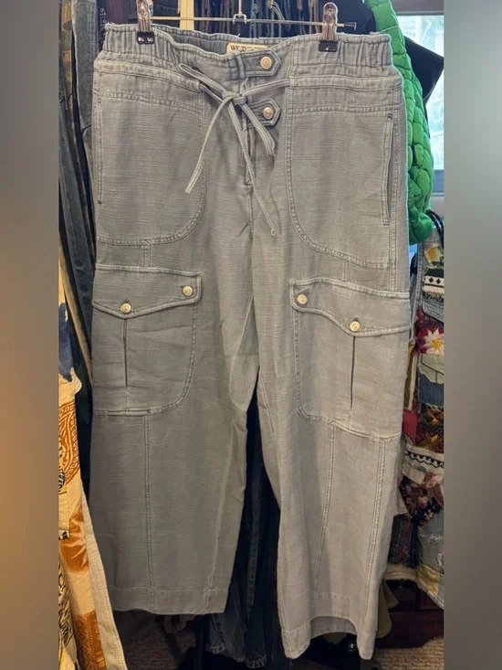 NWT Free People We The Free Park Ave Pants - autumn sky blue - medium - Picture 7 of 9